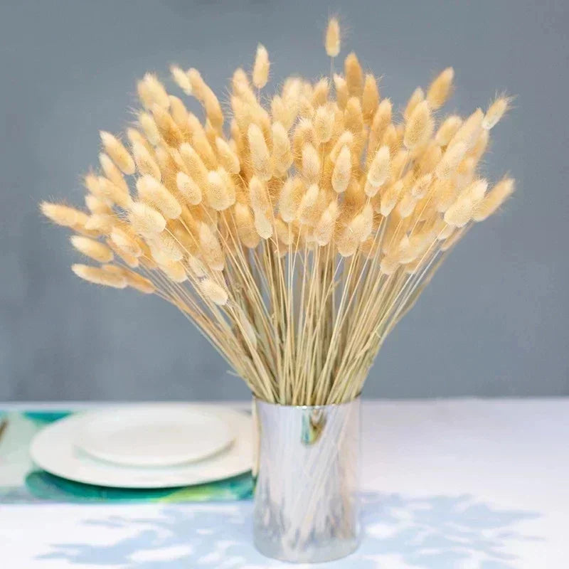 60 pièces fleurs de blé naturel séchées