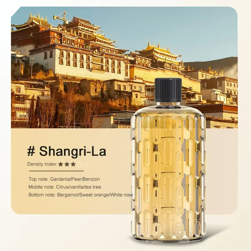 Diffuseur d'arôme mural de 50 ml